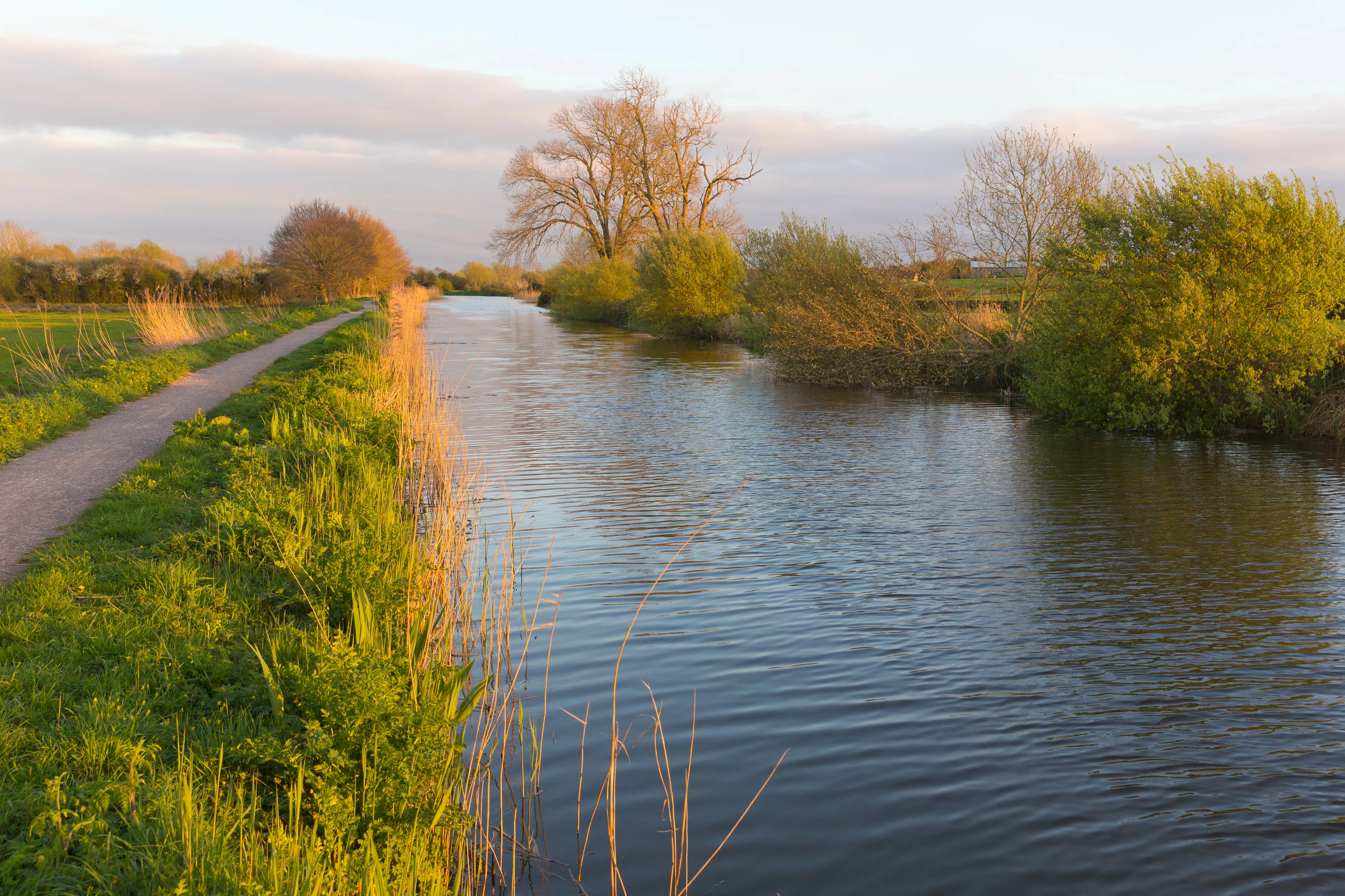 Bridgwater, United Kingdom